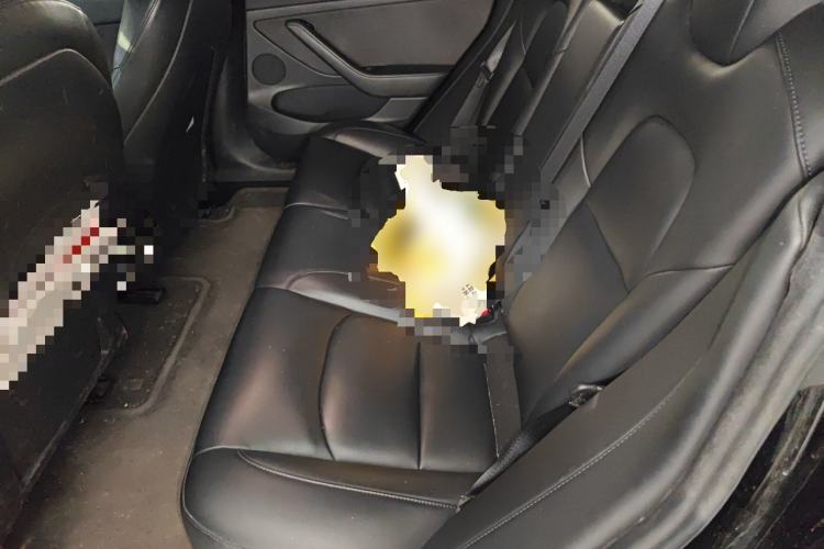 Used Tesla Model 3 2021 Standard Range Rear-Drive Upgraded Version Left Rear Seat
