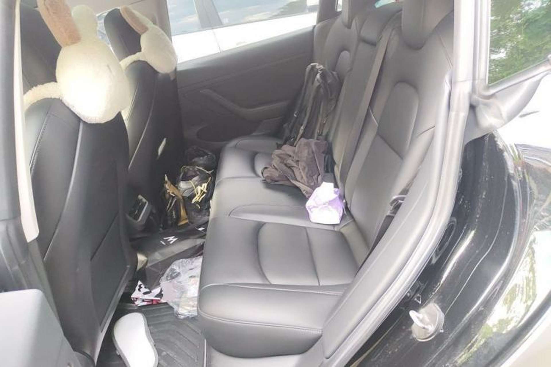 Used Tesla Model 3 2021 Performance High-Performance All-Wheel-Drive Version Left Rear Seat