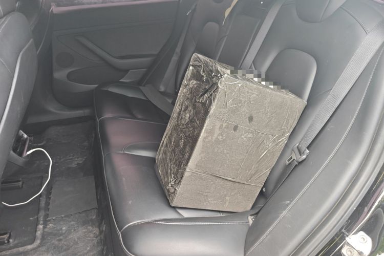 Used Tesla Model 3 2021 Standard Range Rear-Wheel Drive Upgraded Version 3D6 Left Rear Seat