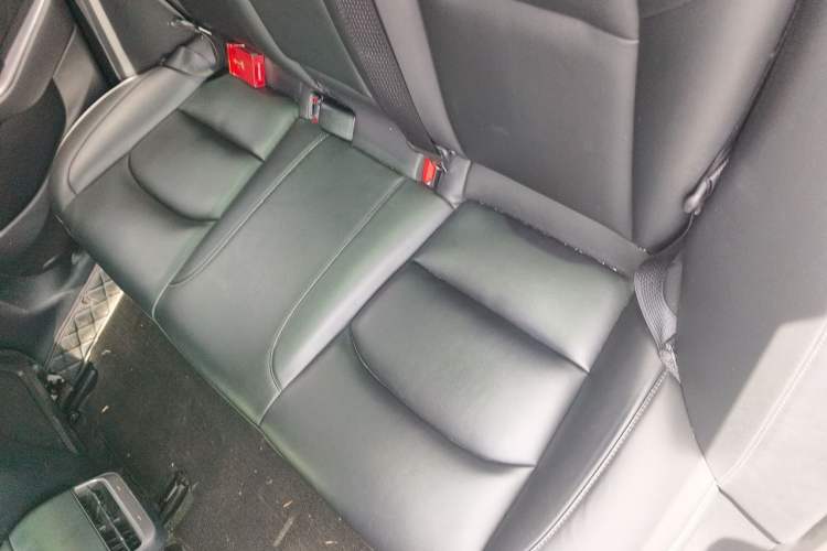 Used Tesla Model 3 2021 Standard Range Rear-Wheel Drive Upgraded Version 3D6 Left Rear Seat