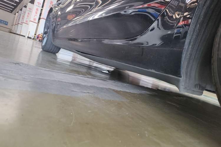 Used Tesla Model 3 2021 Revised Performance Version with All-Wheel Drive 3D1 Left Side Sill