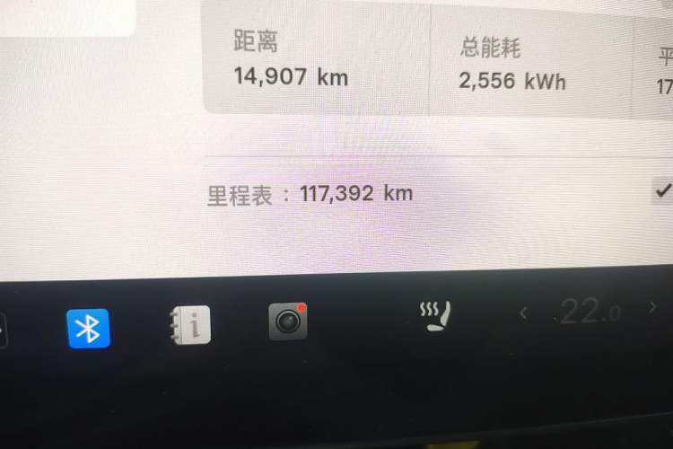 Used Tesla Model 3 2021 Performance High-Performance All-Wheel-Drive Version Odometer Close Up