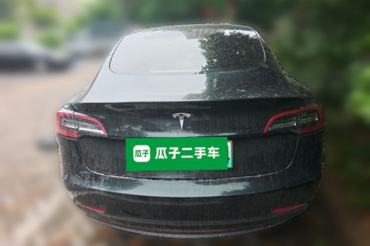 Used Tesla Model 3 2021 Standard Range Rear-Wheel Drive Upgraded Version 3D6 Rear