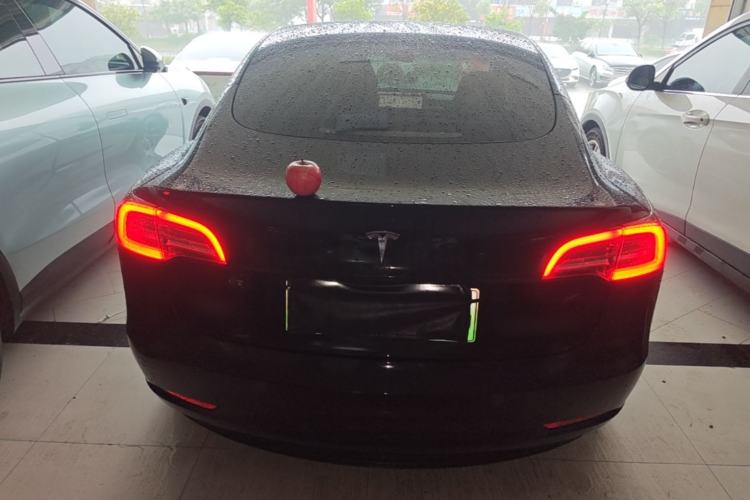 Used Tesla Model 3 2021 Standard Range Rear-Wheel Drive Upgraded Version 3D6 Rear