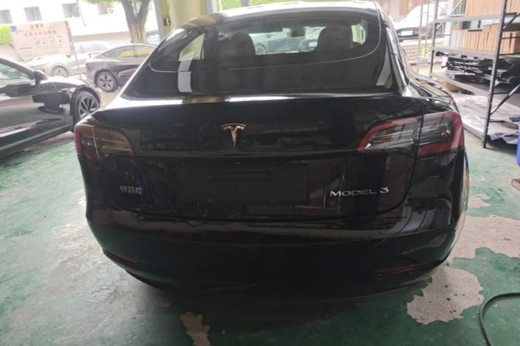 Used Tesla Model 3 2021 Standard Range Rear-Wheel Drive Upgraded Version 3D6 Rear