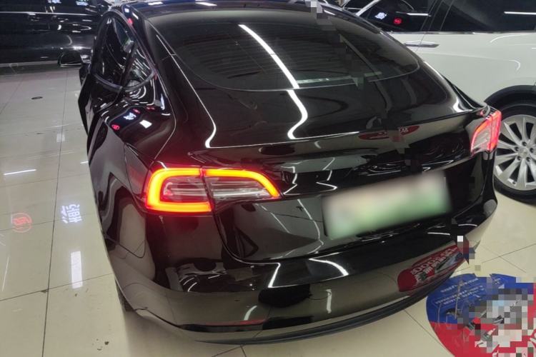 Used Tesla Model 3 2021 Standard Range Rear-Wheel Drive Upgraded Version 3D6 Rear