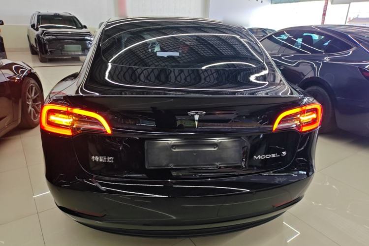 Used Tesla Model 3 2021 Standard Range Rear-Wheel Drive Upgraded Version 3D6 Rear