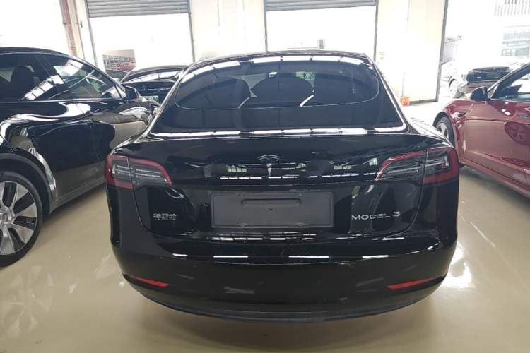 Used Tesla Model 3 2021 Standard Range Rear-Wheel Drive Upgraded Version 3D6 Rear