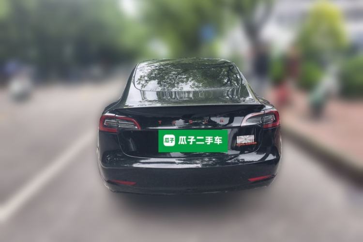 Used Tesla Model 3 2021 Performance High-Performance All-Wheel-Drive Version Rear