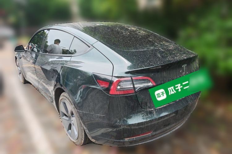 Used Tesla Model 3 2021 Standard Range Rear-Wheel Drive Upgraded Version 3D6 Rear Left 45 Deg