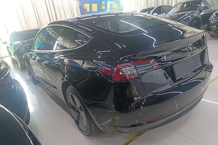 Used Tesla Model 3 2021 Standard Range Rear-Wheel Drive Upgraded Version 3D6 Rear Left 45 Deg