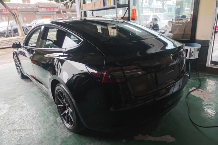 Used Tesla Model 3 2021 Standard Range Rear-Wheel Drive Upgraded Version 3D6 Rear Left 45 Deg