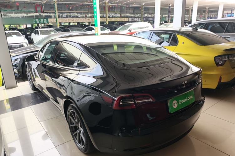 Used Tesla Model 3 2021 Standard Range Rear-Wheel Drive Upgraded Version 3D6 Rear Left 45 Deg