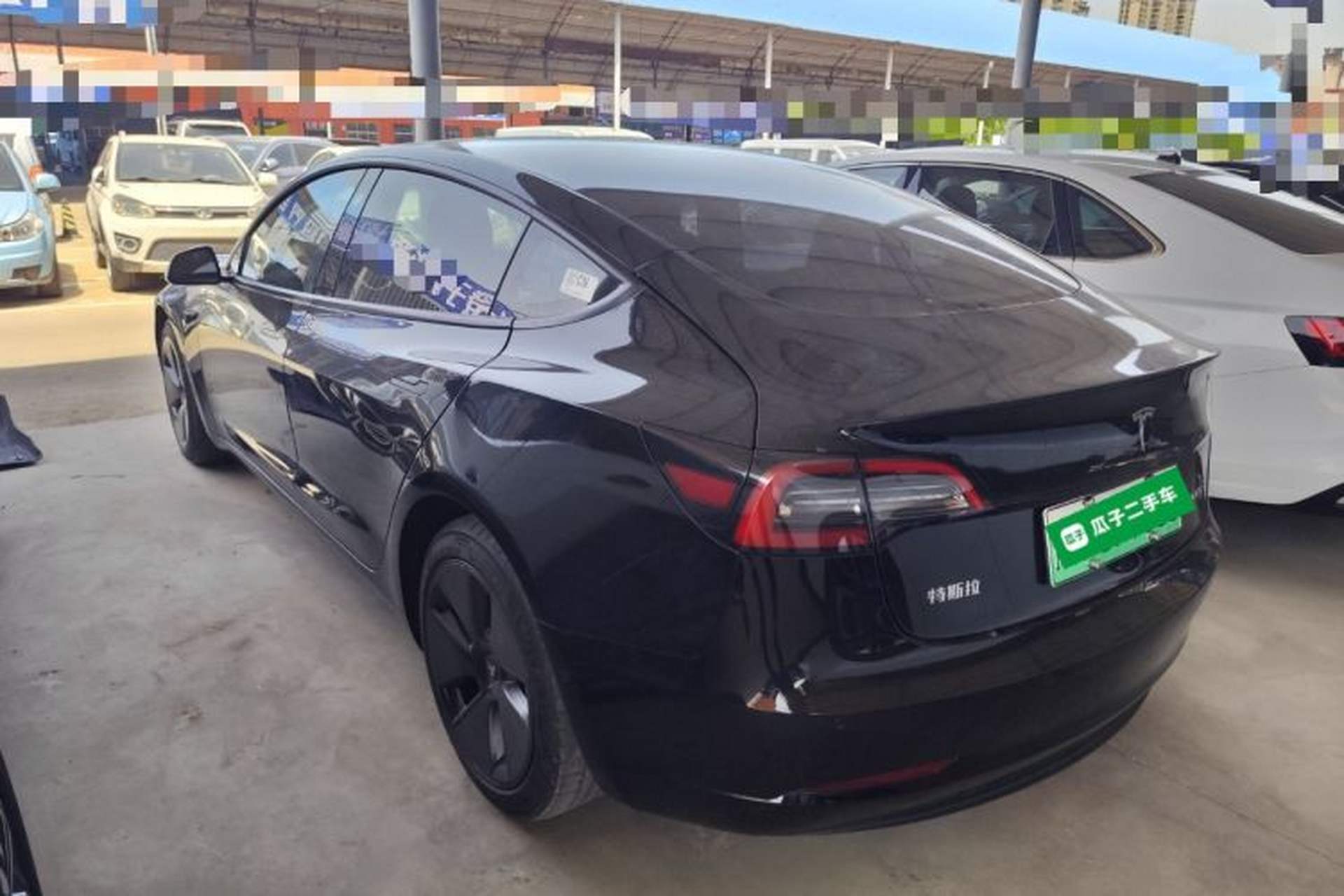 Used Tesla Model 3 2021 Standard Range Rear-Wheel Drive Upgraded Version 3D6 Rear Left 45 Deg
