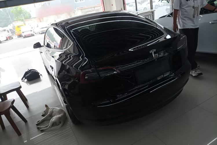Used Tesla Model 3 2021 Revised Version Standard Range Rear-Wheel Drive Upgraded Edition 3D1 Rear Left 45 Deg