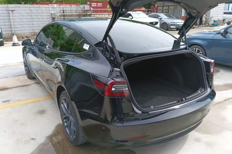 Used Tesla Model 3 2021 Performance High-Performance All-Wheel-Drive Version Rear Left 45 Deg