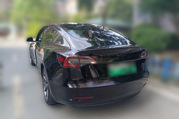 Used Tesla Model 3 2021 Standard Range Rear-Wheel Drive Upgraded Version 3D6 Rear Left 45 Deg
