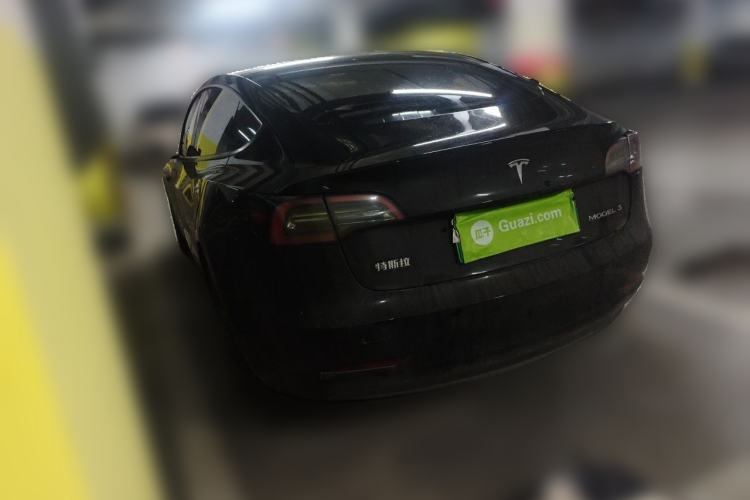 Used Tesla Model 3 2021 Standard Range Rear-Wheel Drive Upgraded Version 3D6 Rear Left 45 Deg