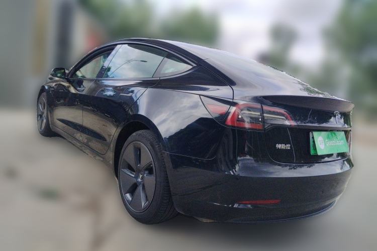 Used Tesla Model 3 2021 Standard Range Rear-Wheel Drive Upgraded Version 3D6 Rear Left 45 Deg