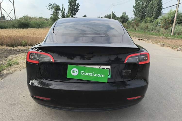 Used Tesla Model 3 2021 Standard Range Rear-Wheel Drive Upgraded Version 3D6 Rear