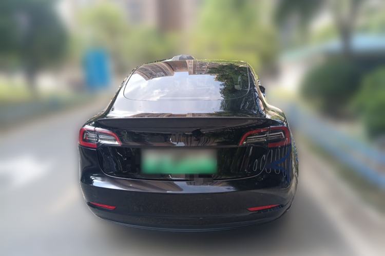 Used Tesla Model 3 2021 Standard Range Rear-Wheel Drive Upgraded Version 3D6 Rear