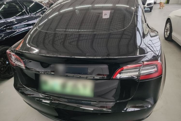 Used Tesla Model 3 2021 Standard Range Rear-Wheel Drive Upgraded Version 3D6 Rear