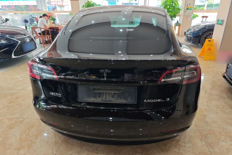 Used Tesla Model 3 2021 Standard Range Rear-Wheel Drive Upgraded Version 3D6 Rear