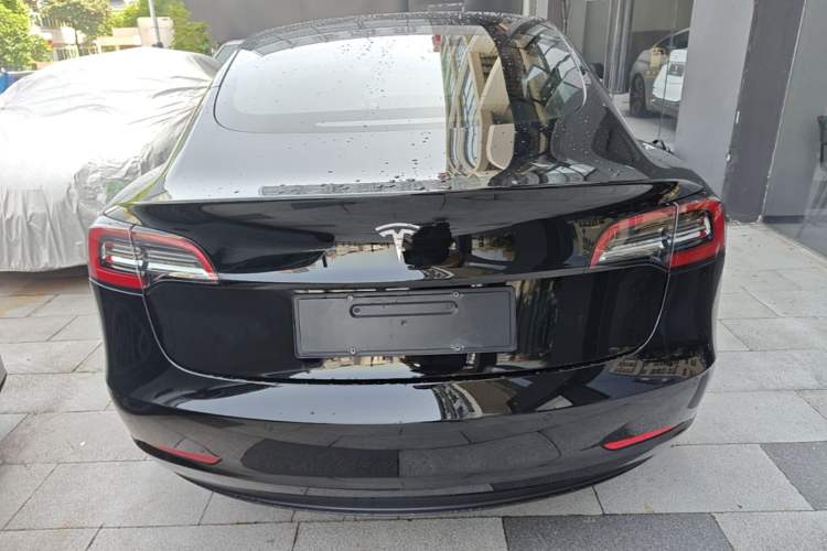 Used Tesla Model 3 2021 Standard Range Rear-Wheel Drive Upgraded Version 3D6 Rear