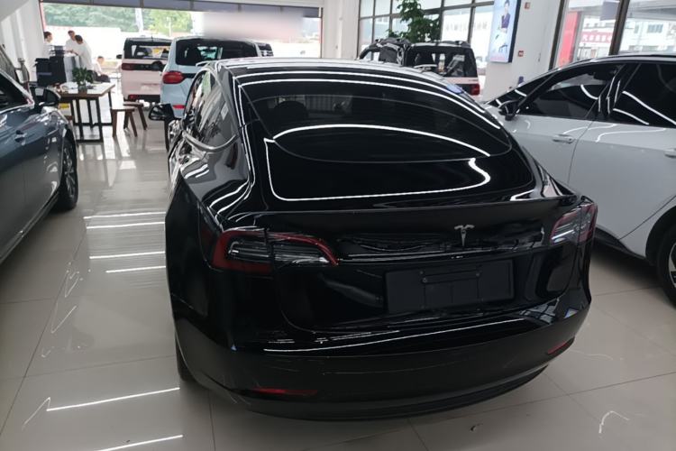 Used Tesla Model 3 2021 Standard Range Rear-Wheel Drive Upgraded Version 3D6 Rear