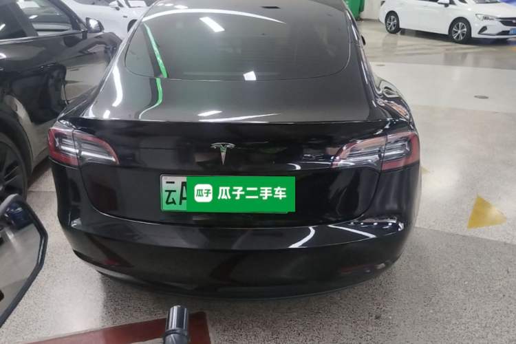 Used Tesla Model 3 2021 Standard Range Rear-Wheel Drive Upgraded Version 3D6 Rear