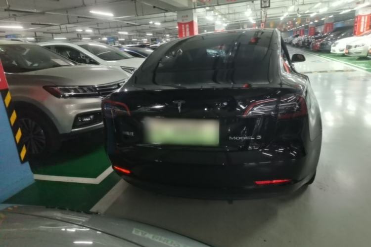 Used Tesla Model 3 2021 Standard Range Rear-Wheel Drive Upgraded Version 3D6 Rear
