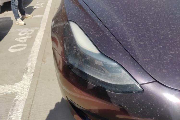 Used Tesla Model 3 2021 Standard Range Rear-Drive Upgraded Version