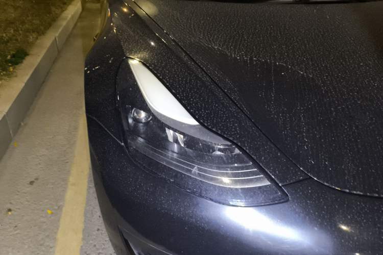 Used Tesla Model 3 2021 Standard Range Rear-Wheel Drive Upgraded Version 3D6 Right Front Headlight