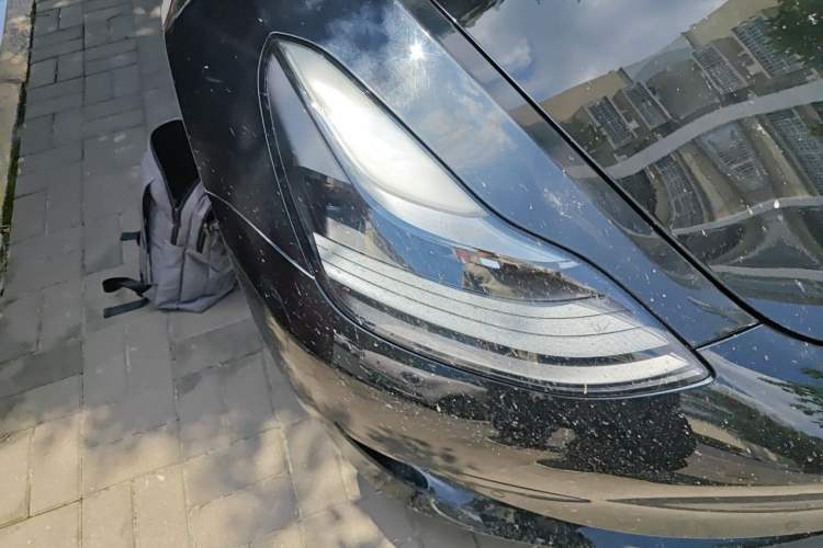 Used Tesla Model 3 2021 Revised Version Standard Range Rear-Wheel Drive Upgraded Edition 3D1 Right Front Headlight