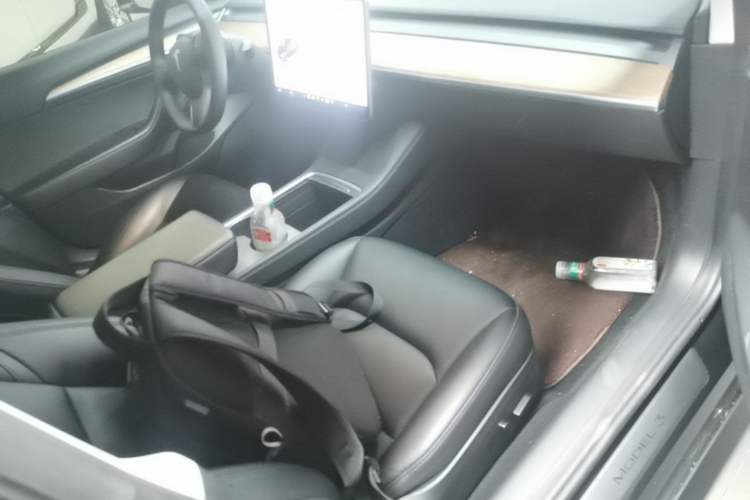 Used Tesla Model 3 2021 Revised Version Standard Range Rear-Wheel Drive Upgraded Edition 3D1 Right Front Seat