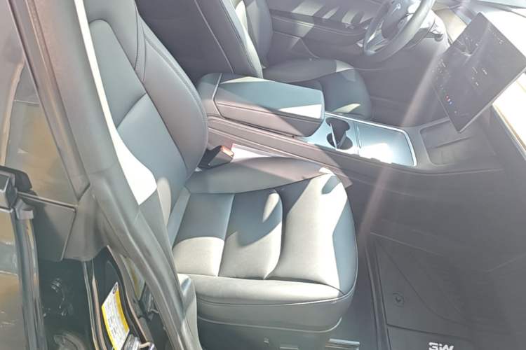 Used Tesla Model 3 2021 Revised Version Standard Range Rear-Wheel Drive Upgraded Edition 3D1 Right Front Seat