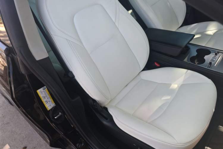 Used Tesla Model 3 2021 Standard Range Rear-Drive Upgraded Version Right Front Seat