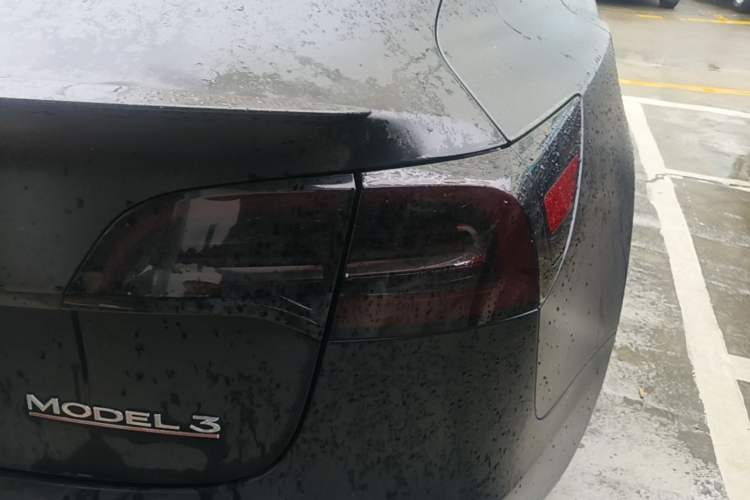 Used Tesla Model 3 2021 Performance High-Performance All-Wheel-Drive Version Right Rear Taillight