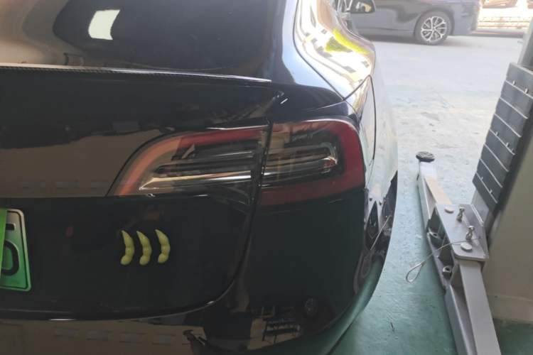 Used Tesla Model 3 2021 Revised Version Standard Range Rear-Wheel Drive Upgraded Edition 3D1 Right Rear Taillight