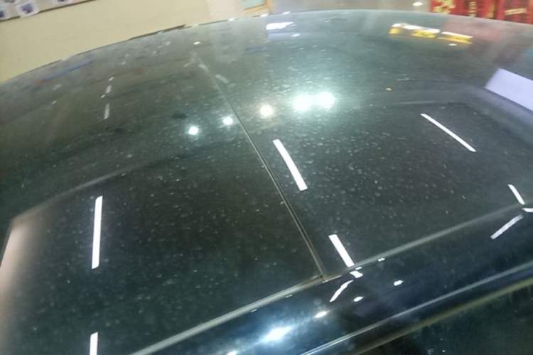 Used Tesla Model 3 2021 Standard Range Rear-Drive Upgraded Version Roof