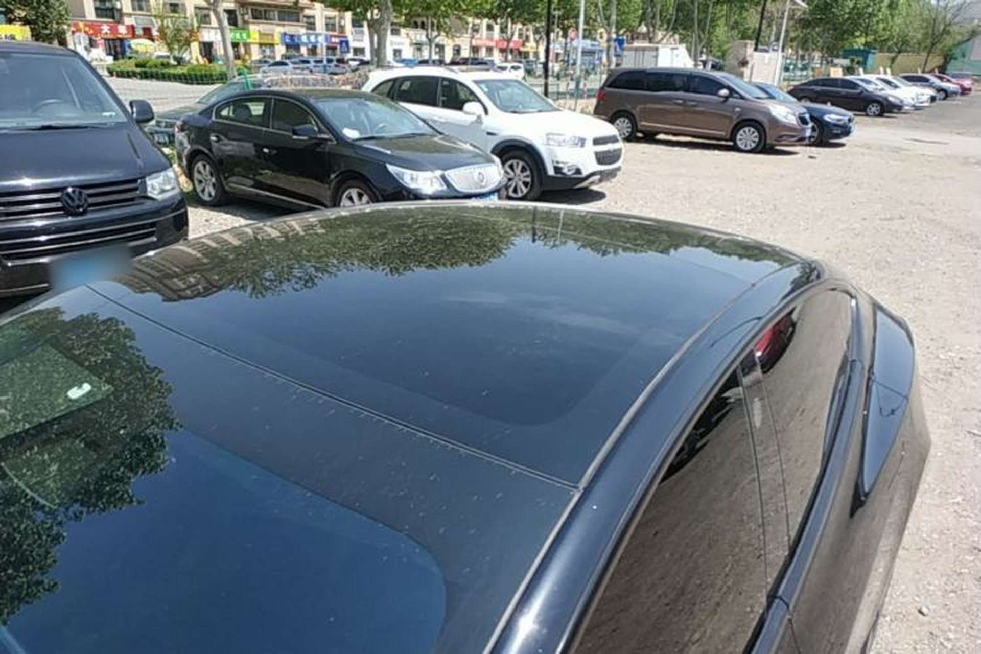 Used Tesla Model 3 2021 Standard Range Rear-Wheel Drive Upgraded Version 3D6 Roof