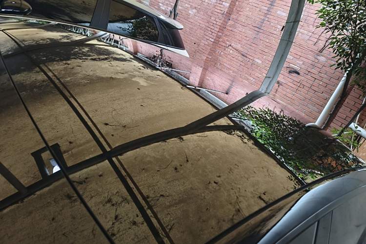Used Tesla Model 3 2021 Standard Range Rear-Drive Upgraded Version Roof