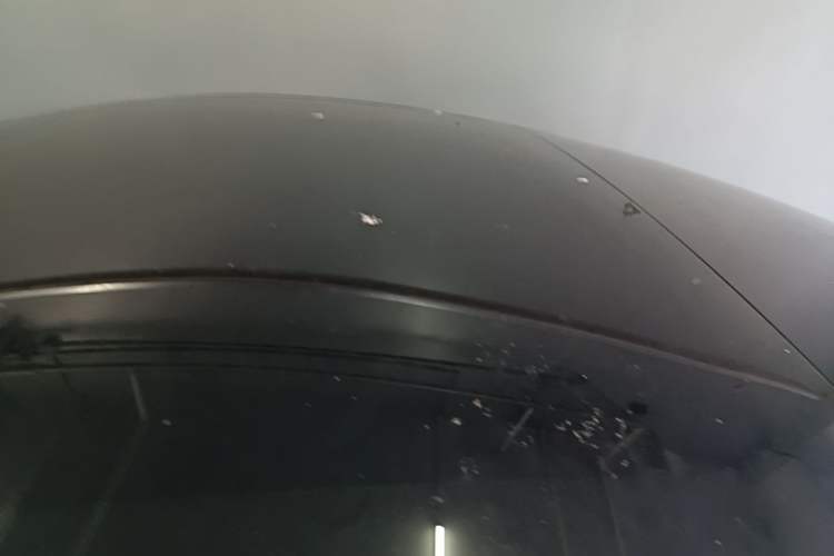 Used Tesla Model 3 2021 Revised Version II – Performance High-Performance All-Wheel-Drive Edition Roof