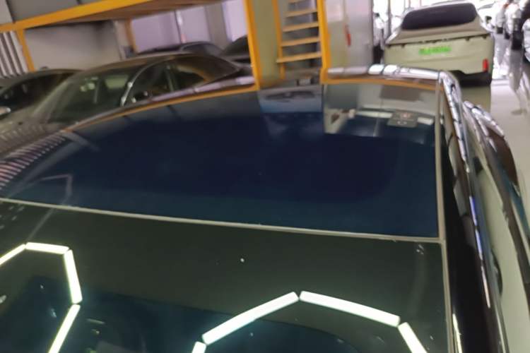 Used Tesla Model 3 2021 Standard Range Rear-Drive Upgraded Version Roof