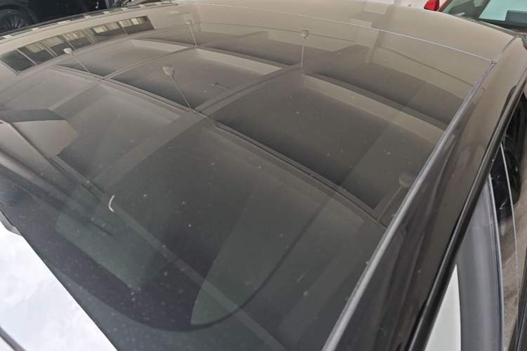 Used Tesla Model 3 2021 Performance High-Performance All-Wheel-Drive Version Roof