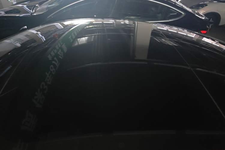Used Tesla Model 3 2021 Standard Range Rear-Wheel Drive Upgraded Version 3D6 Roof