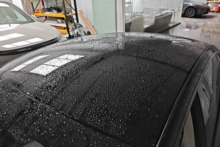 Used Tesla Model 3 2021 Performance High-Performance All-Wheel-Drive Version 3D6 Roof