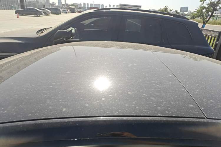 Used Tesla Model 3 2021 Standard Range Rear-Drive Upgraded Version Roof