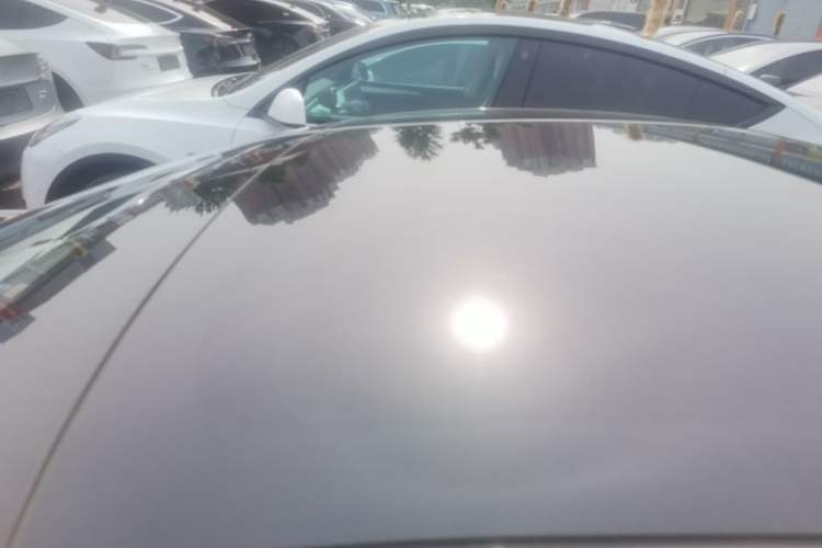 Used Tesla Model 3 2021 Performance High-Performance All-Wheel-Drive Version 3D6 Roof