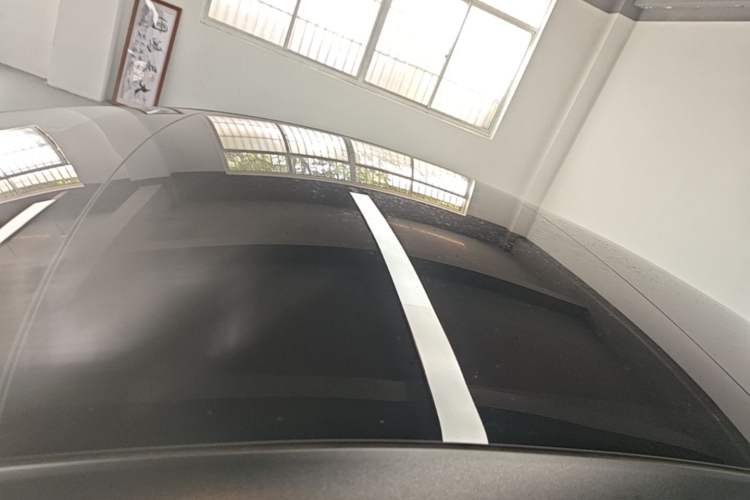 Used Tesla Model 3 2021 Revised Version II – Performance High-Performance All-Wheel-Drive Edition Roof